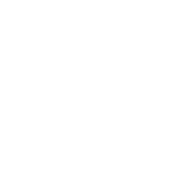 Prótesis dental